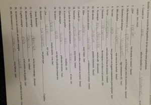Chemistry Worksheet Matter 1 Answer Key and Stress Relief Stressrelief420 Twitter