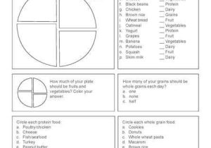 Choose My Plate Worksheet Along with 443 Best Fcs Nutrition and Wellness Images On Pinterest