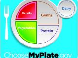 Choose My Plate Worksheet and Food Nutrition and Meal Preparation