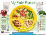 Choose My Plate Worksheet together with 35 Best Myplate for Adults Images On Pinterest