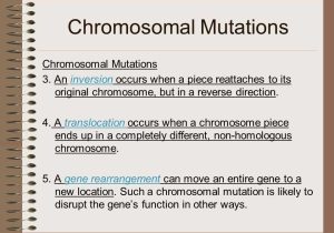 Chromosomal Mutations Worksheet Along with Beautiful Linked Traits Worksheet Unique Chromosome Mutation