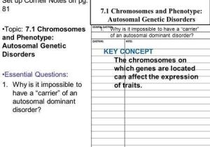 Chromosomal Mutations Worksheet and Ppt On Chromosomes and Genes Worksheet