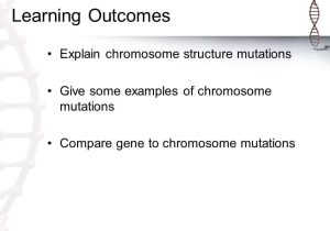 Chromosomal Mutations Worksheet as Well as 1 What are Genetic Disorders Caused by Ppt Video Online
