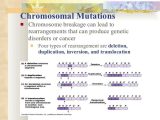 Chromosomal Mutations Worksheet or Mutations Worksheet Answer Key Inspirational Fresh Linked Traits