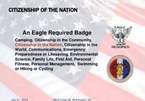 Citizenship In the Nation Merit Badge Worksheet and Citizenship In the World Worksheet