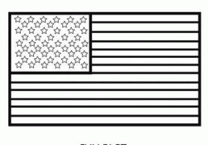 Citizenship In the Nation Worksheet with the American Flag