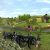 Civil War Battles Worksheet and American Civil War Gettysburg Fotka