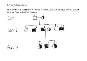 Codominance Incomplete Dominance Worksheet Answers Along with Genetics Pedigree Worksheet Answers Choice Image Worksheet for