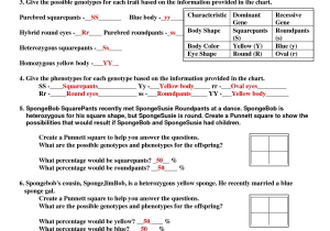 Codominance Incomplete Dominance Worksheet Answers together with Spongebob Genetics Worksheet Answers the Best Worksheets Image