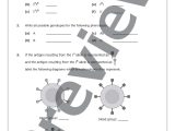 Codominance Incomplete Dominance Worksheet Answers with Multiple Alleleraits Worksheet Picture Hd Beyond Mendel Codominance