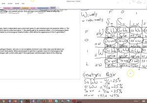 Codominance Incomplete Dominance Worksheet Answers with Worksheet Multiple Allele Crosses Answery Picture Inspirations