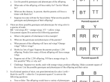 Codominance Worksheet Blood Types Along with 41 Codominance Worksheet Blood Types Answers 16 Best