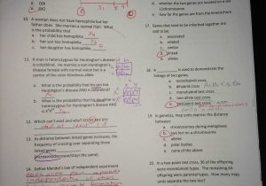 Codominance Worksheet Blood Types Along with Genetics Practice Problems Worksheet Answers Unique Codominance
