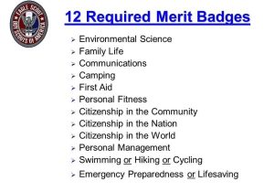 Communications Merit Badge Worksheet and Citizenship In the World Worksheet