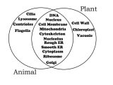 Comparing Plant and Animal Cells Worksheet together with Paring Plant and Animal Cells Venn Diagram Unique Pare Contrast