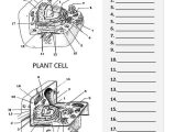 Comparing Plant and Animal Cells Worksheet with Plant and Animal Cell Diagram Worksheet Bio Pinterest