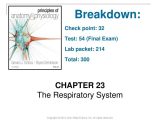 Comprehending Anatomy and Physiology Terminology Worksheet Answers together with Encantador Anatomy and Physiology Final Ideas Imgenes De