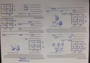 Control Of Gene Expression In Prokaryotes Pogil Worksheet Answers or Punnett Squares Worksheet with Answers Page 6 the