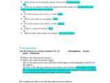Control Of Gene Expression In Prokaryotes Worksheet Answers Also Worksheets 48 Re Mendations Protein Synthesis Worksheet Answers