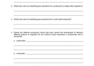 Control Of Gene Expression In Prokaryotes Worksheet Answers and 36 New S Control Gene Expression In Prokaryotes Worksheet