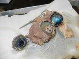 Cow Eye Dissection Worksheet Also Eye Disection Reverse Search