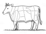 Cow Eye Dissection Worksheet and Dessiner Une Vache Vache De La Viande De Buf Parties Tablea