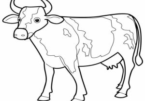 Cow Eye Dissection Worksheet with Cow Coloring Page Great Pages for Kids with Cartoon Grig3