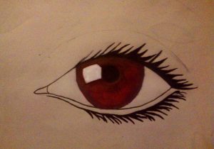 Cow Eye Dissection Worksheet with Drawn Eyeball Bloodshot Eye Pencil and In Color Drawn Eyeb