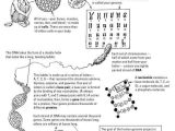 Cracking the Code Of Life Worksheet Answers Also 546 Best School Images On Pinterest