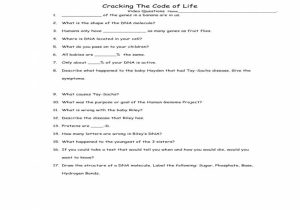 Cracking the Code Of Life Worksheet Answers and Free Worksheets Library Download and Print Worksheets