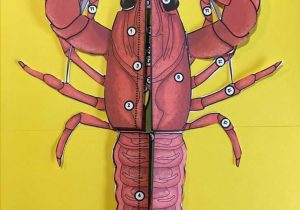 Crayfish Dissection Worksheet as Well as Crayfish Dissection 3 D Paper Model