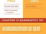 Credit Basics Worksheet Answers or 18 Best Bankruptcy Images On Pinterest