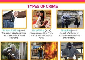 Crime Scene Activity Worksheets or Cpi Tino Grando Bilingual Sections Crime
