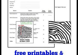 Crime Scene Investigation Worksheets Also 666 Best Teaching forensics Images On Pinterest