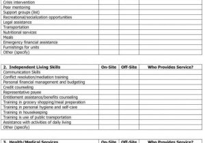 Crisis Prevention Plan Worksheet or Will Planning Worksheet with Famous Crisis Management Template