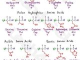 Csusm Major Worksheet and 428 Best organic Chemistry Images On Pinterest