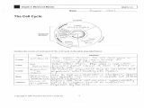 Cycles Of Matter Worksheet Answers or Pearson Education Worksheet Answers Luxury the Cell Cycle Worksheet