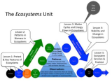 Cycles Of Matter Worksheet Answers with Ecosystems