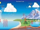 Cycles Of Matter Worksheet Answers with Intro to Biogeochemical Cycles Article