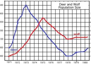 Darwin's Natural Selection Worksheet Answer Key and Deer Predation or Starvation