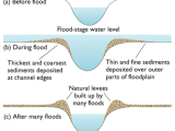 Darwin's Natural Selection Worksheet Answer Key with Greenfieldgeography Floodplain Management