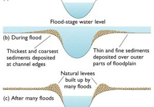 Darwin's Natural Selection Worksheet Answer Key with Greenfieldgeography Floodplain Management