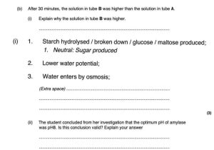Data Analysis Worksheet Schs Biology Answers as Well as 3 Page Essay Outline
