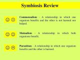 Data Analysis Worksheets High School Science Also Types Symbiosis Worksheet the Best Worksheets Image Colle