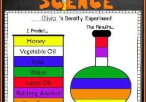 Density Worksheet Chemistry with Free Recording Sheet for Teaching Density and the Scientific Method