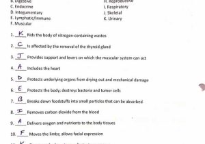 Did You Get It Spanish Worksheet Answers as Well as Ziemlich Anatomy and Physiology Coloring Workbook Answers Chapter 11