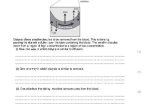Diffusion and Osmosis Worksheet and Diffusion Osmosis and Active Transport Practice Questions