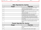 Diffusion and Osmosis Worksheet Answers as Well as Google Search Human Reproductive System