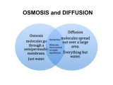 Diffusion and Osmosis Worksheet Answers Biology as Well as Diffusion and Osmosis Worksheet Best Active Transport New G