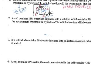 Diffusion and Osmosis Worksheet Answers Biology with Whats the Difference Between Diffusion and Osmosis Diffusio